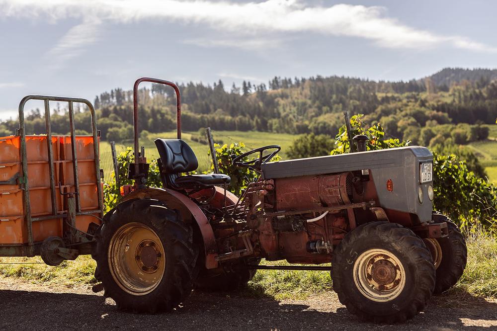 andreasfriedrichfotografie-weinlese-weingutschlumberger-4361