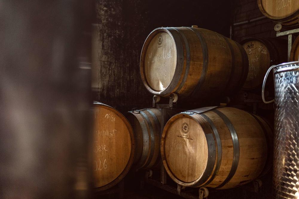andreasfriedrichfotografie-weinlese-weingutschlumberger-4644