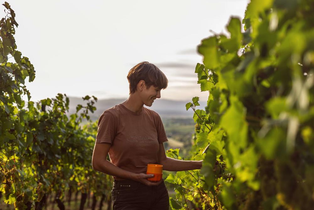andreasfriedrichfotografie-weinlese-weingutschlumberger-4899