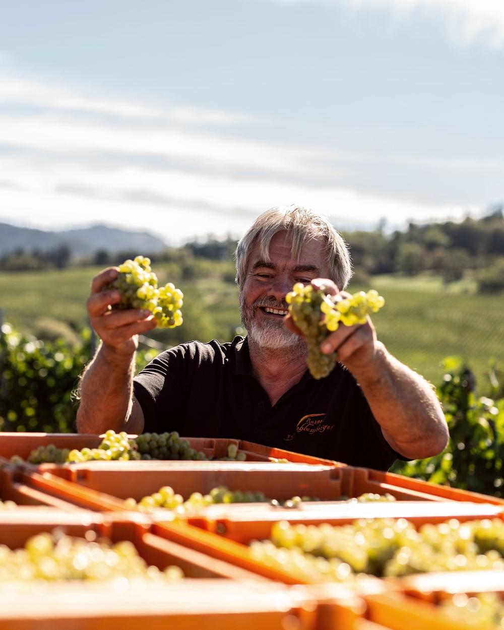 andreasfriedrichfotografie-weinlese-weingutschlumberger-4365.2