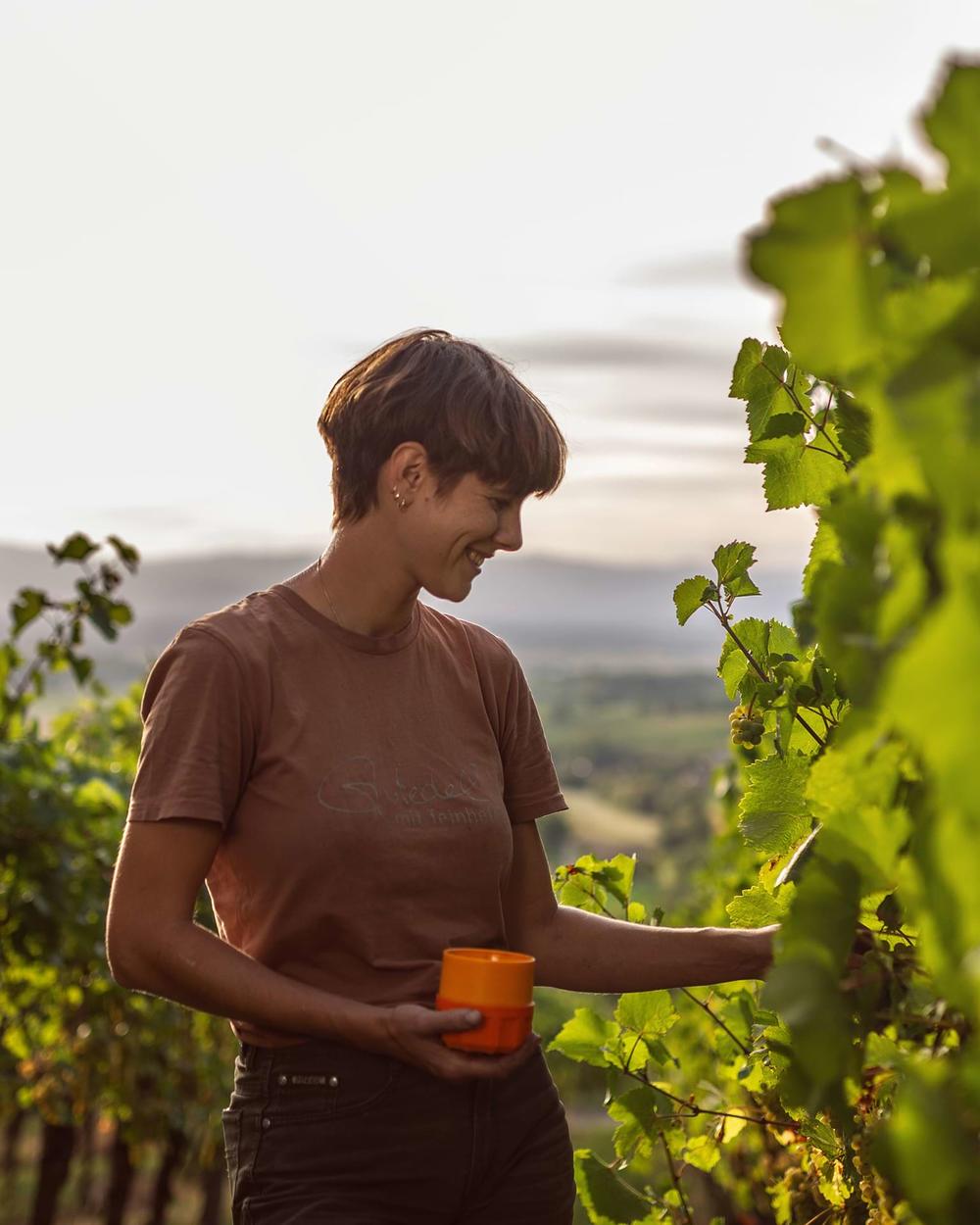 andreasfriedrichfotografie-weinlese-weingutschlumberger-4899.2