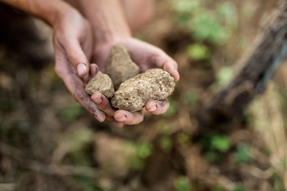 andreasfriedrichfotografie-weinlese-weingutschlumberger-5031