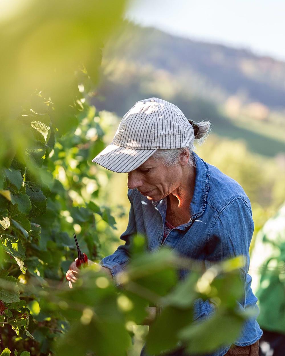 andreasfriedrichfotografie-weinlese-weingutschlumberger-4155.2